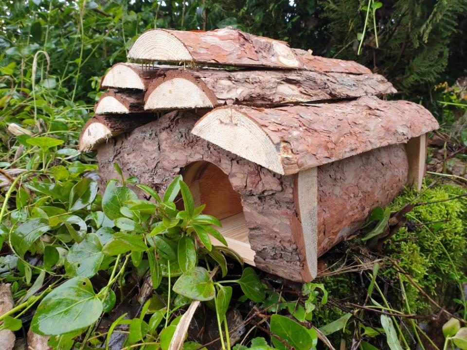 Les abris pour hérissons et comment ils peuvent aider à protéger ces animaux étonnants 