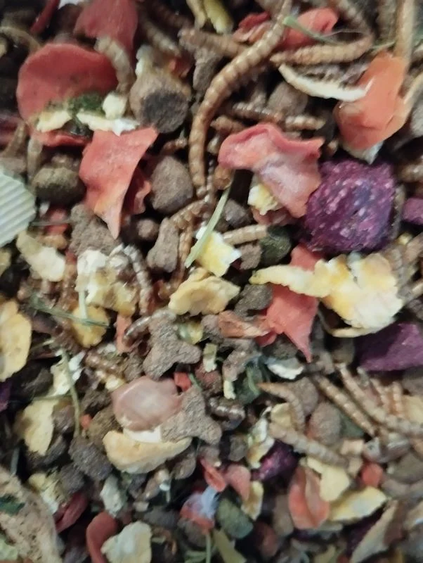 Aliment complet pour hérissons.600 g