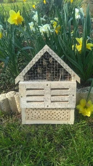 hôtel à insectes