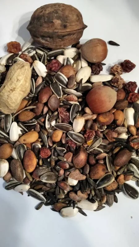 Nourriture pour Ecureuil 700 g