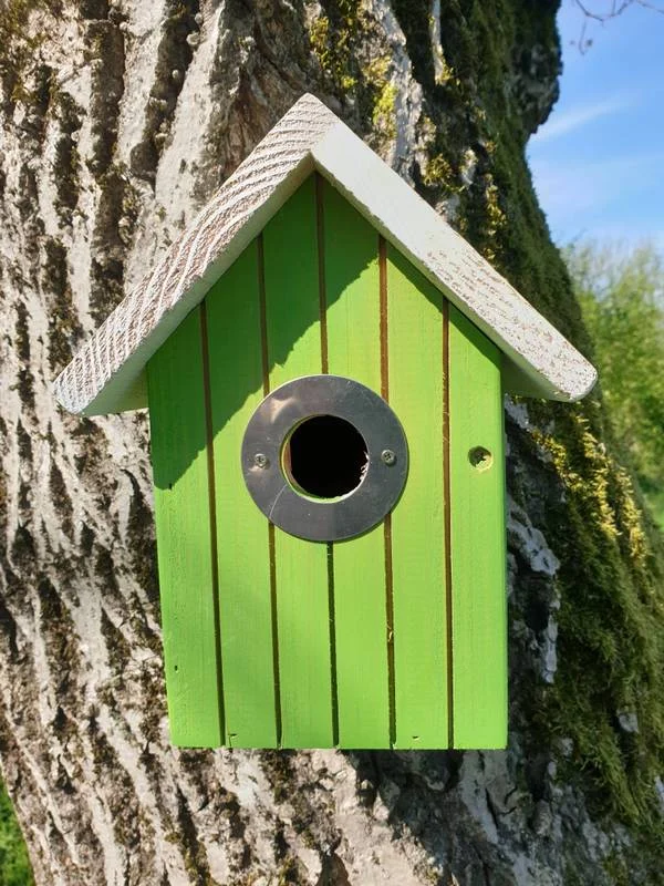 Nichoir cabane vert