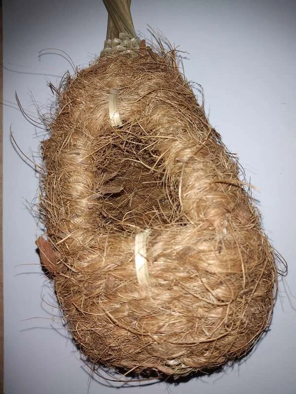 Nid de coco-bambou