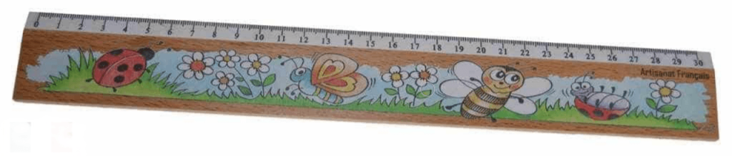 Règle 30 cm décors insectes