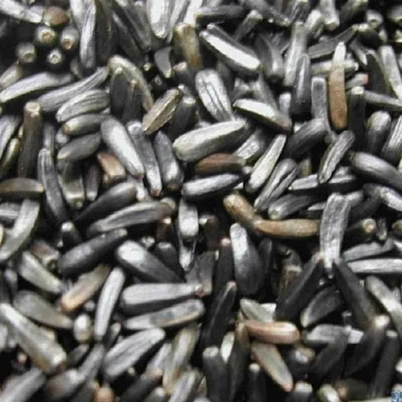 Graine de niger 1 kg