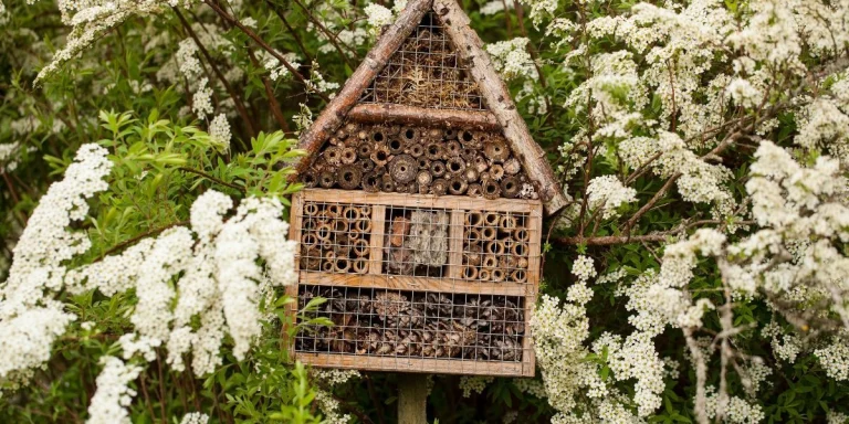 Un hôtel à insectes : c’est quoi au juste ?