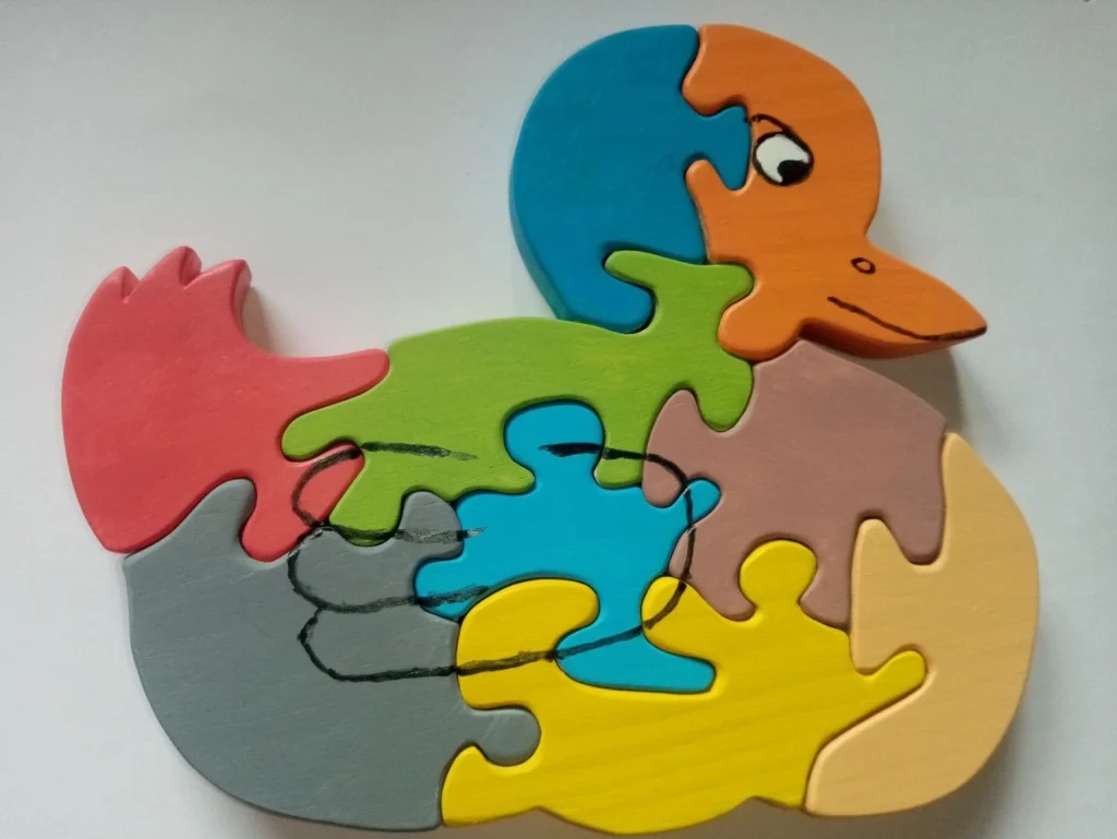 Puzzle canard