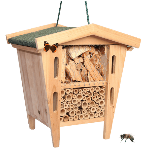 La maison d’insectes Pandora