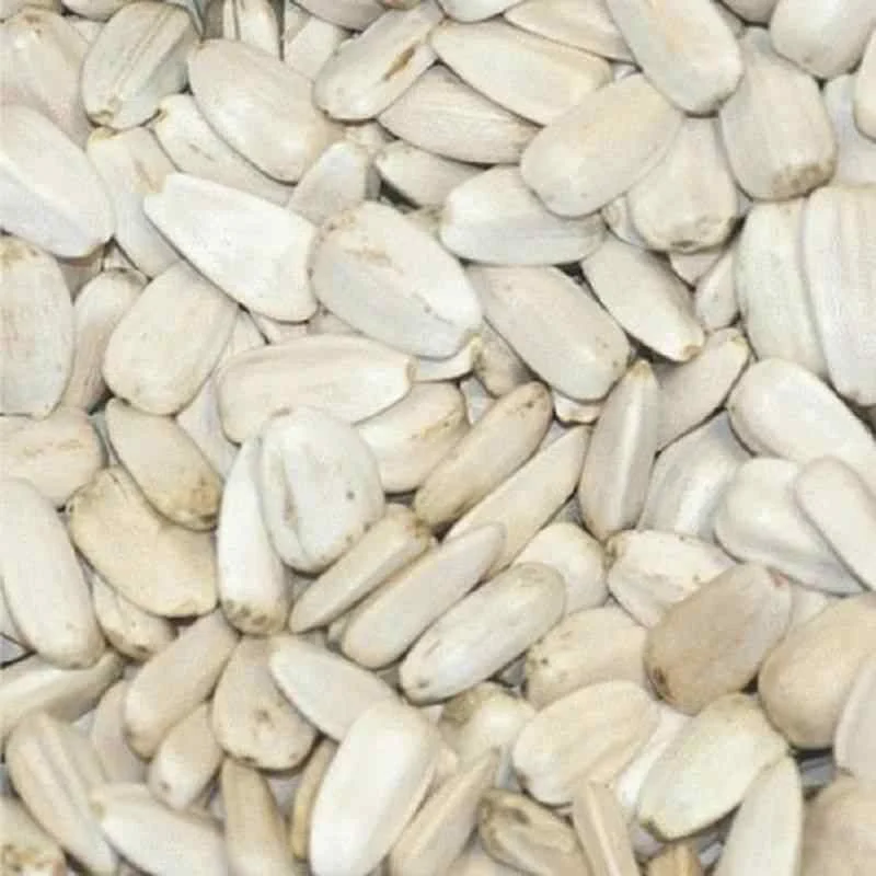 Tournesol blanc 1 Kg